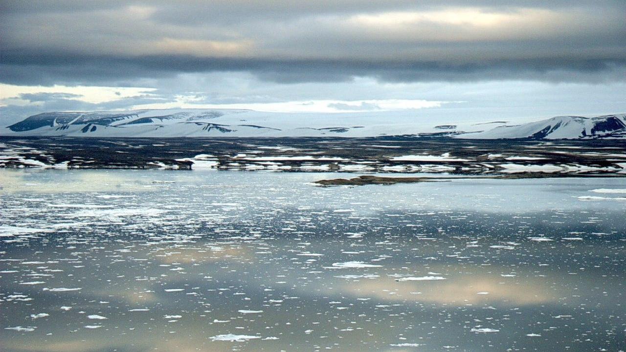 Ученые зафиксировали смещение дрейфующих льдов в Баренцевом море